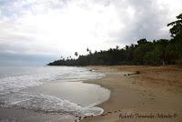 Punta Uva de Limón Punta Uva de Limón