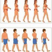 Cómo evitar el Sobrepeso para evitar otras enfermedades