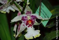 Exposición Nacional de Orquídeas 2012