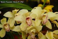 Exposición Nacional de Orquídeas 2012