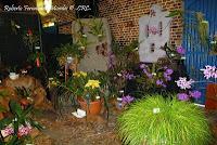 Exposición Nacional de Orquídeas 2012