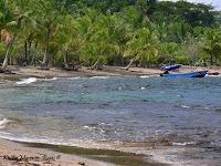 Manzanillo de Limón