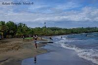 Manzanillo de Limón