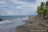 Manzanillo de Limón Manzanillo de Limón