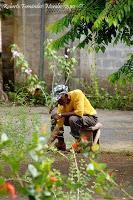 Manzanillo de Limón Manzanillo de Limón