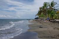 Manzanillo de Limón