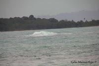 Manzanillo de Limón Manzanillo de Limón