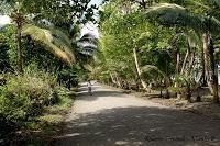 Manzanillo de Limón Manzanillo de Limón