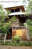 Manzanillo de Limón Manzanillo de Limón