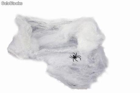 ¿Qué no puede faltar en Halloween?