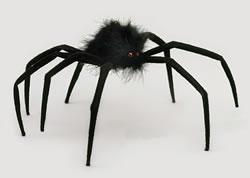 ¿Qué no puede faltar en Halloween?