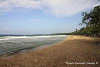 Playa Cocles de Limón