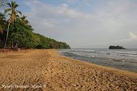 Playa Cocles de Limón