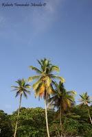 Playa Cocles de Limón