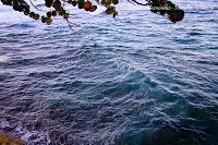 Playa Cocles de Limón