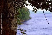 Playa Cocles de Limón