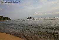 Playa Cocles de Limón