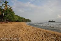 Playa Cocles de Limón