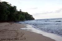 Playa Cocles de Limón