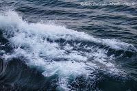 Playa Cocles de Limón