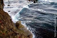 Playa Cocles de Limón