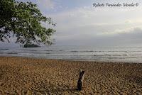 Playa Cocles de Limón