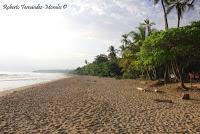 Playa Cocles de Limón