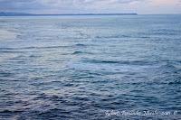 Playa Cocles de Limón