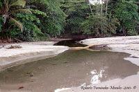 Playa Cocles de Limón