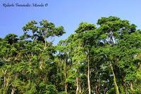 Playa Cocles de Limón