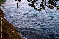 Playa Cocles de Limón