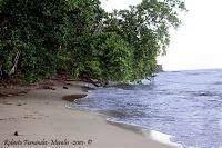 Playa Cocles de Limón