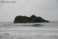 Playa Cocles de Limón