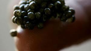 Manicura Caviar........