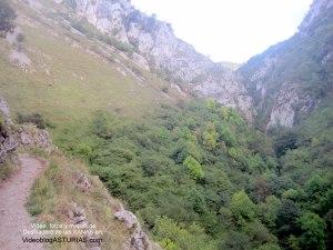 Video, fotos y mapa Desfiladero las Xanas: Bosque sobre garganta Xanas