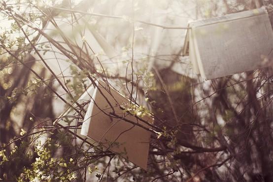 IMAGENES PARA TERMINAR EL DOMINGO....