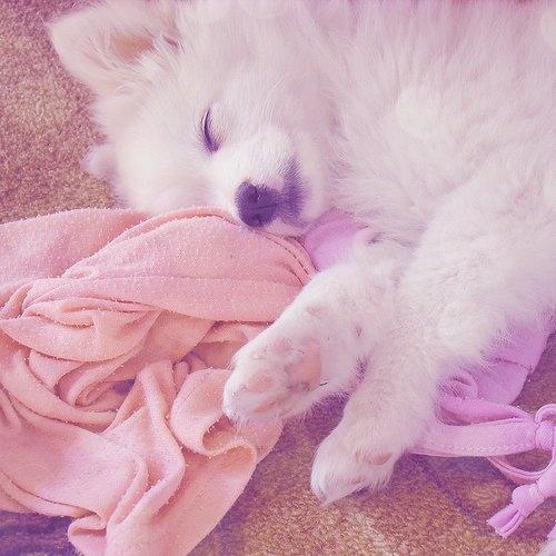 IMAGENES PARA TERMINAR EL DOMINGO....