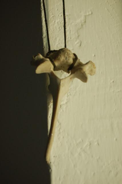 eco objetos, decoración alternativa 6