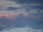 buscando rato calma cada