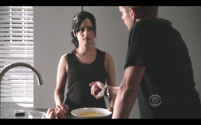 GUIONECES: ¿CUÁNTO NECESITA SABER EL ESPECTADOR SOBRE UN PERSONAJE? THE GOOD WIFE (II)