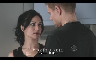 GUIONECES: ¿CUÁNTO NECESITA SABER EL ESPECTADOR SOBRE UN PERSONAJE? THE GOOD WIFE (II)