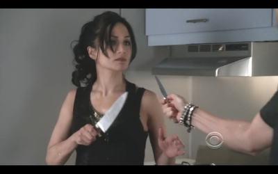 GUIONECES: ¿CUÁNTO NECESITA SABER EL ESPECTADOR SOBRE UN PERSONAJE? THE GOOD WIFE (II)