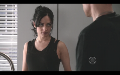 GUIONECES: ¿CUÁNTO NECESITA SABER EL ESPECTADOR SOBRE UN PERSONAJE? THE GOOD WIFE (II)