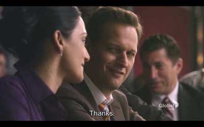 GUIONECES: ¿CUÁNTO NECESITA SABER EL ESPECTADOR SOBRE UN PERSONAJE? THE GOOD WIFE (II)