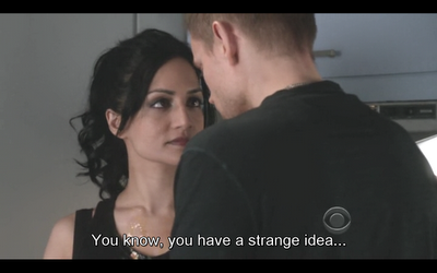 GUIONECES: ¿CUÁNTO NECESITA SABER EL ESPECTADOR SOBRE UN PERSONAJE? THE GOOD WIFE (II)