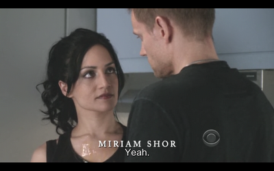 GUIONECES: ¿CUÁNTO NECESITA SABER EL ESPECTADOR SOBRE UN PERSONAJE? THE GOOD WIFE (II)