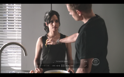 GUIONECES: ¿CUÁNTO NECESITA SABER EL ESPECTADOR SOBRE UN PERSONAJE? THE GOOD WIFE (II)