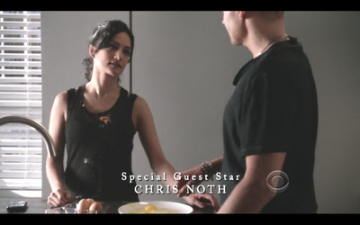 GUIONECES: ¿CUÁNTO NECESITA SABER EL ESPECTADOR SOBRE UN PERSONAJE? THE GOOD WIFE (II)