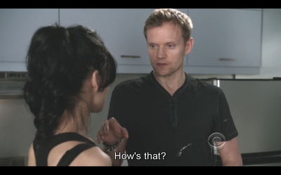 GUIONECES: ¿CUÁNTO NECESITA SABER EL ESPECTADOR SOBRE UN PERSONAJE? THE GOOD WIFE (II)