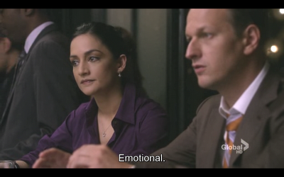 GUIONECES: ¿CUÁNTO NECESITA SABER EL ESPECTADOR SOBRE UN PERSONAJE? THE GOOD WIFE (II)